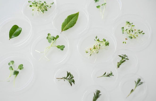 Persona all'aperto con tempo soleggiato, motivo lifestyle.