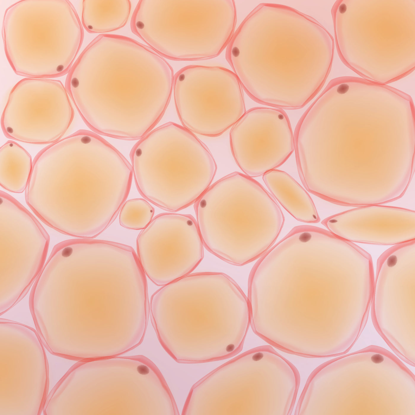 Gros plan cellules graisseuses colorées