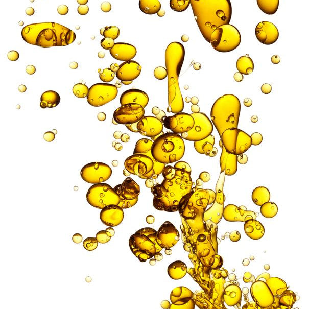 Immagine Getty con persone in ambiente naturale, motivo lifestyle.