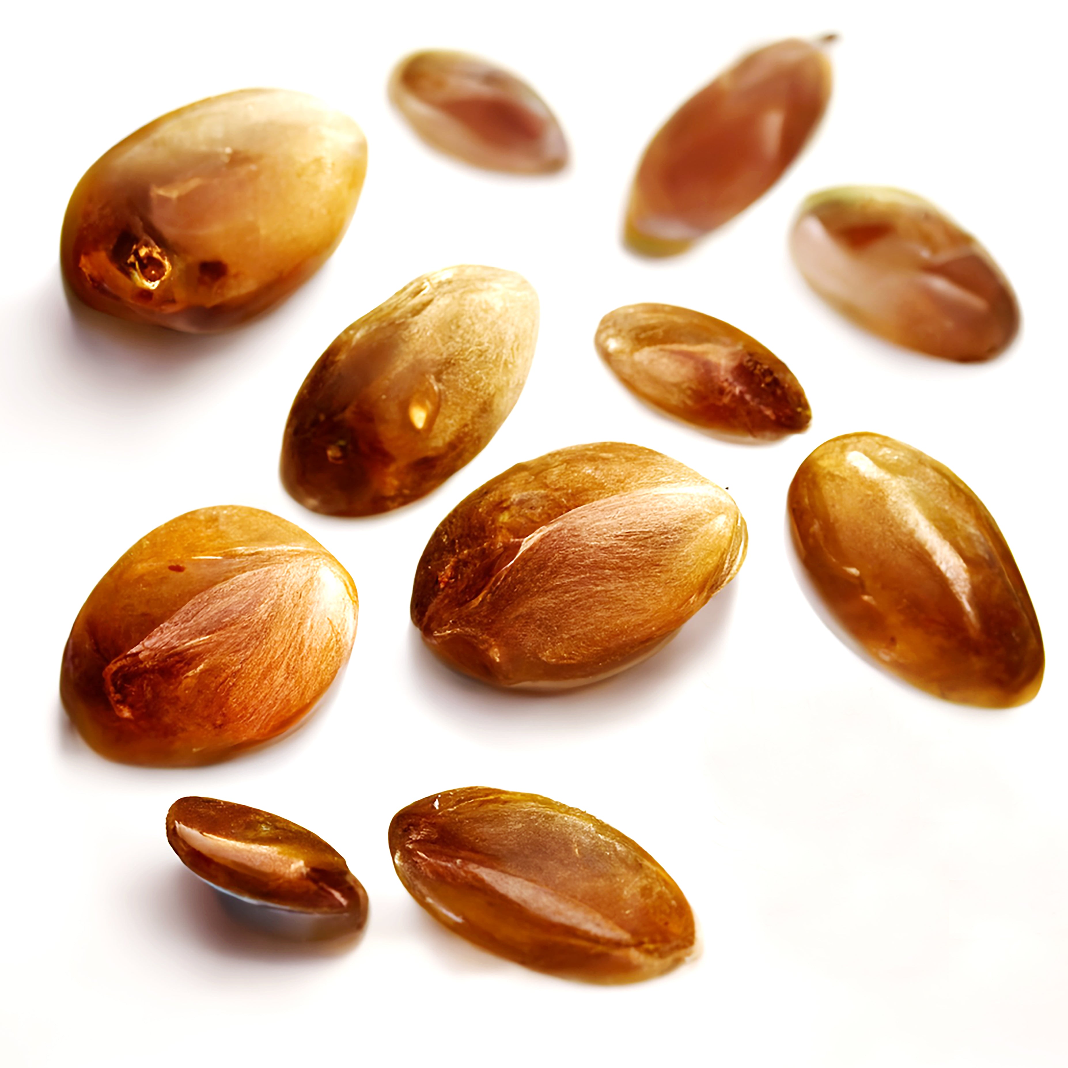 Argannüsse auf einem weißen Hintergrund