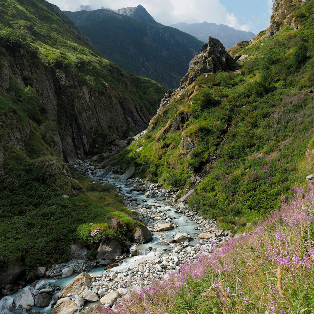 Paesaggio montano verde ricoperto di erba e fiori con gola attraversata da un fiume