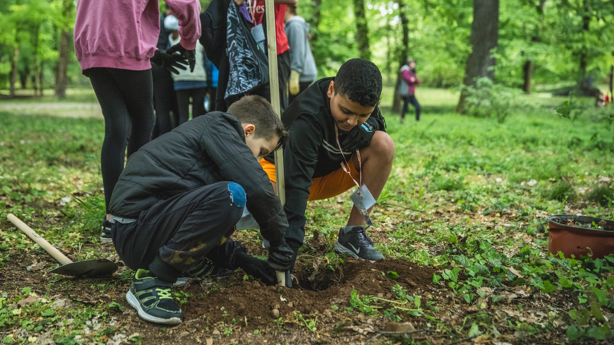 Due ragazzi accovacciati nel bosco mentre piantano