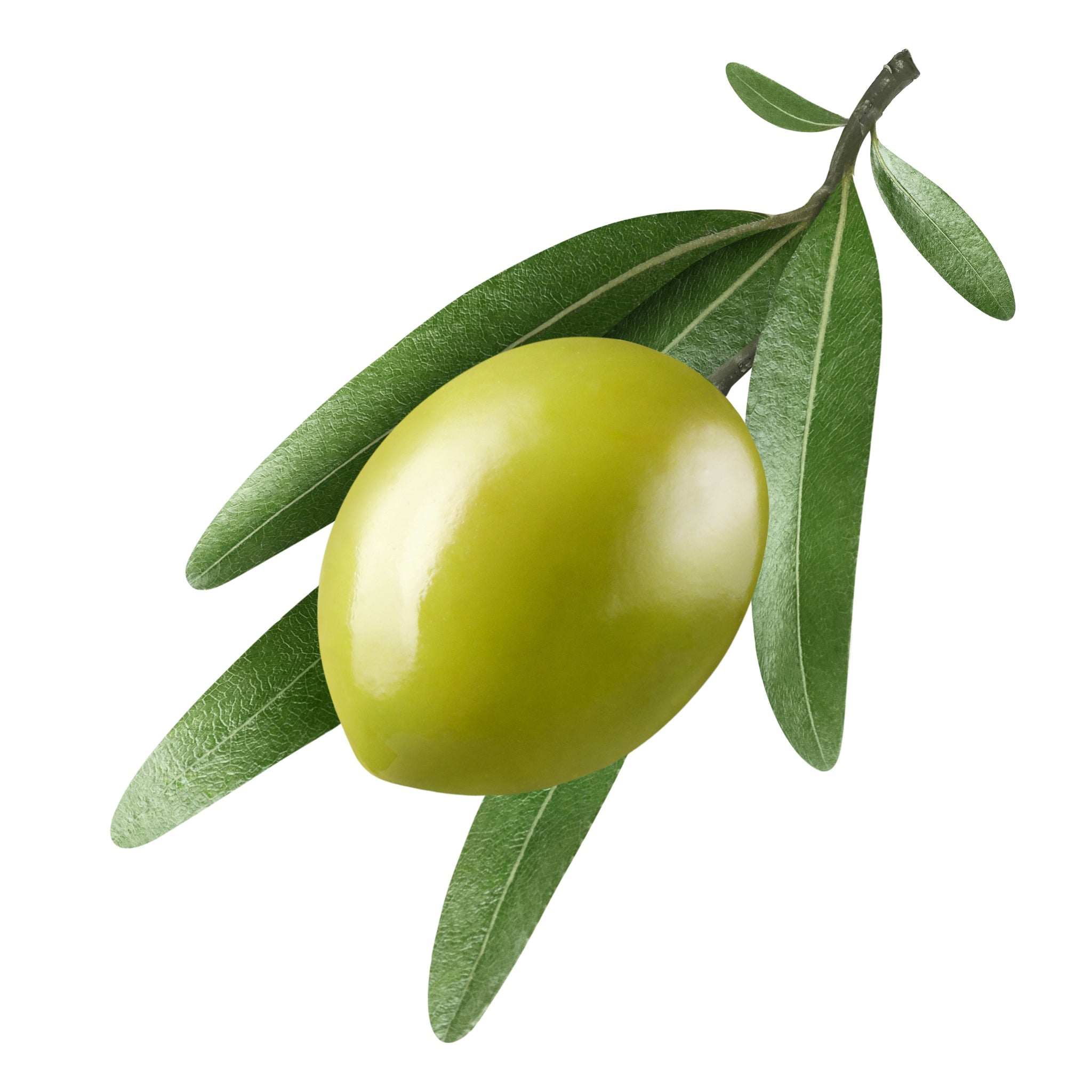 Grüne Olive mit Blättern auf weißem Hintergrund